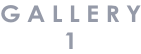 G A L L E R Y 1